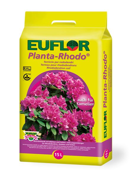 Euflor Planta-Rhodo