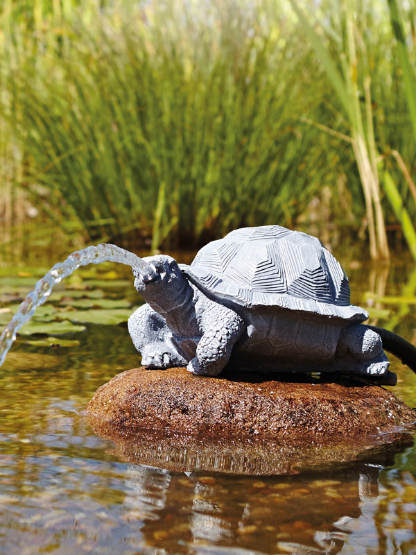 Wasserspeier Schildkröte