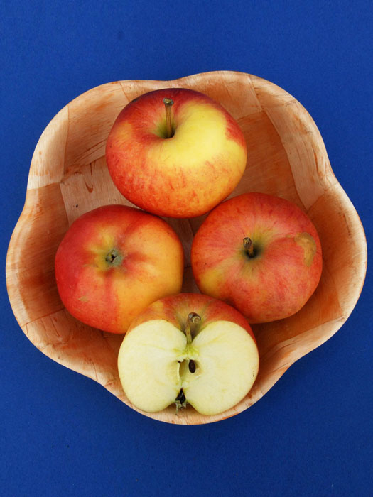 Obstschale mit dem Apfel 'Gala'