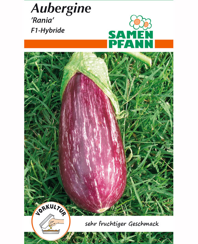 Aubergine 'Rania' F1-Hybride (Art.Nr. G098)