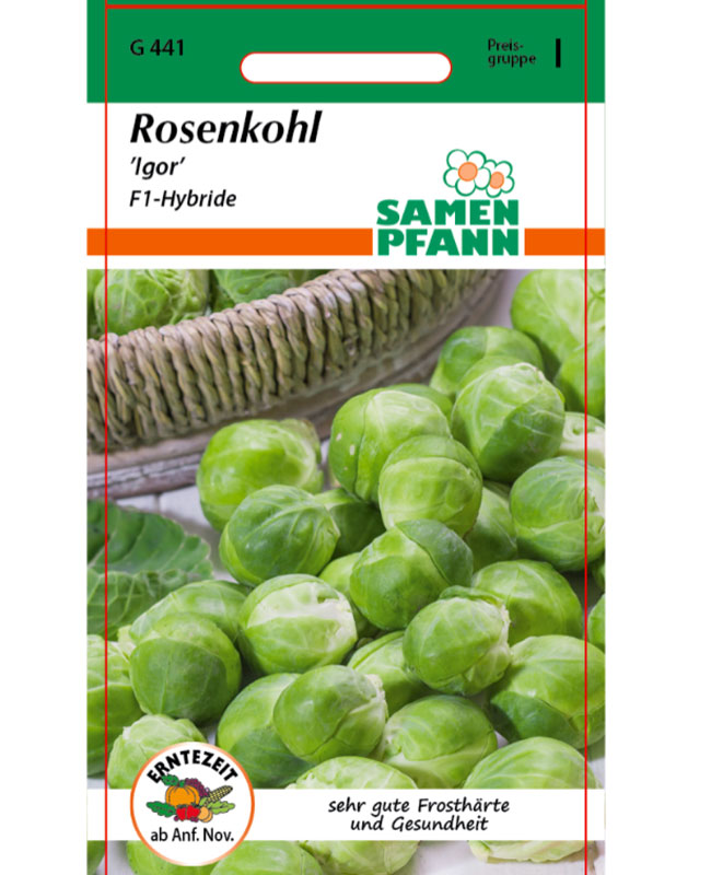 Rosenkohl 'Igor' - F1-Hybride (Art.Nr. G441)