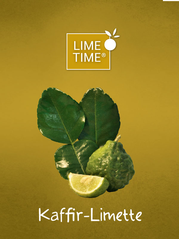 Limettenbaum 'Kaffir-Limette' - Lime Time®