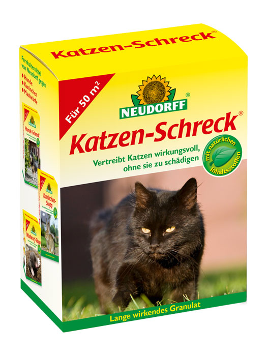 Katzen-Schreck